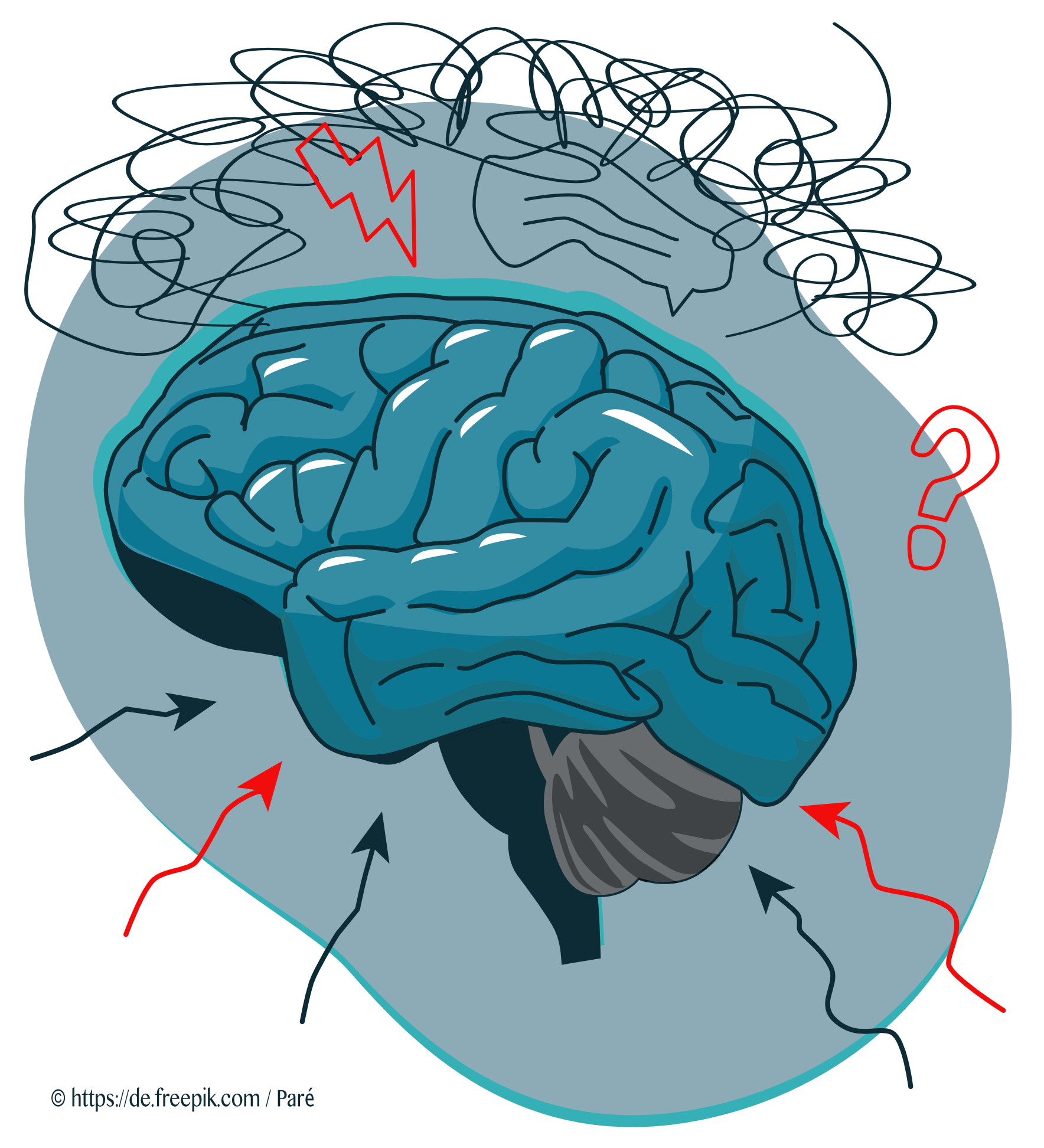 Zeichnung eines Gehirns - ©PARE